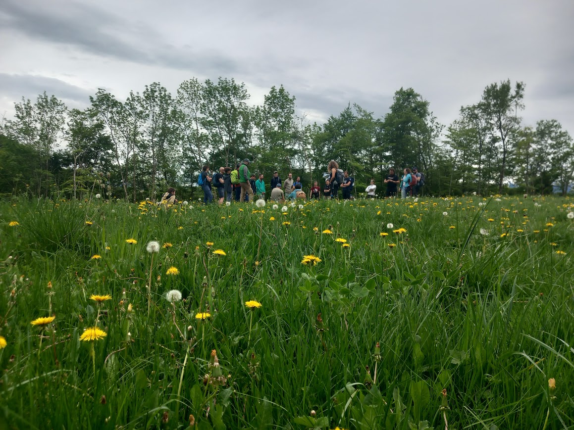 Marche du temps profond groupe